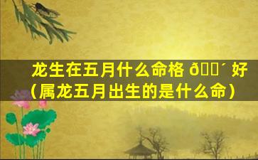 龙生在五月什么命格 🐴 好（属龙五月出生的是什么命）